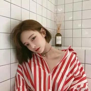 大清后宫