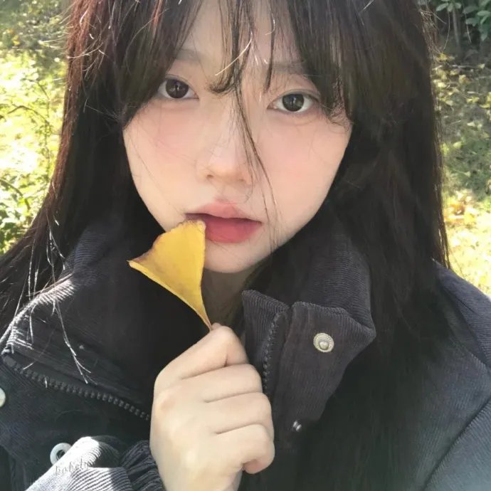 寻芳浪蝶